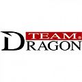 Dragon Dragon