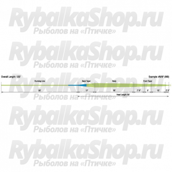 Шнур нахлыстовый Rio Power Spey VersiTip Fly Lines(A) 9/10