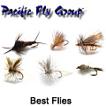 PFG Best Flies PFG Best Flies
