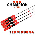 Team Dubna Team Dubna