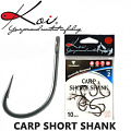 Koi Carp Short Shank Koi Carp Short Shank