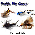 PFG Terrestrials PFG Terrestrials