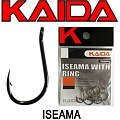Kaida Iseama With Ring Kaida Iseama With Ring