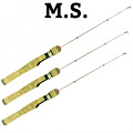 MS MS
