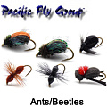 PFG Ants/Beetles PFG Ants/Beetles