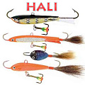 Hali Hali