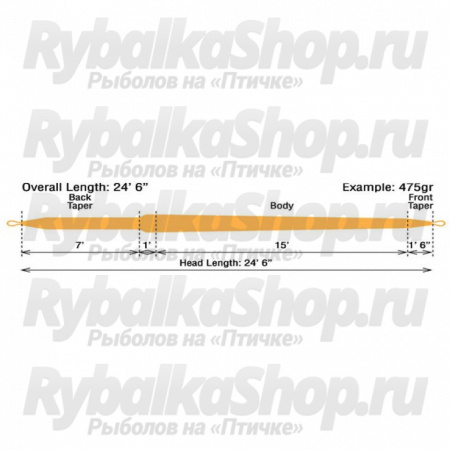 Шнур нахлыстовый Rio Skagit VersiTip (A) 21784